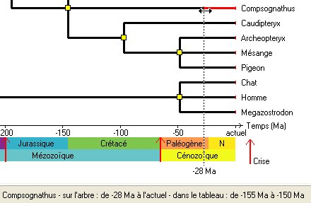 dater_agedeb.jpg