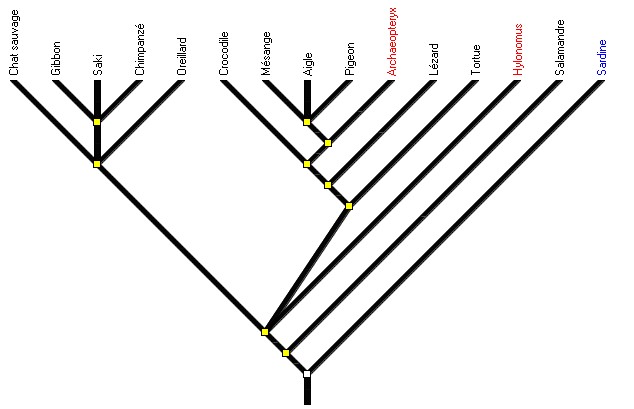 arbre amniotes avec fossiles