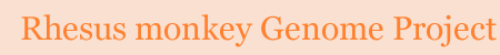 Rhesus Monkey Genome Project-title.gif
