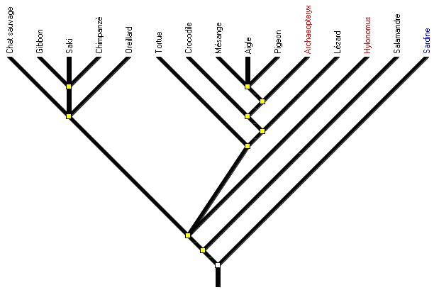 amniotes1arbre-ref