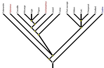 amniotes1-arbre3