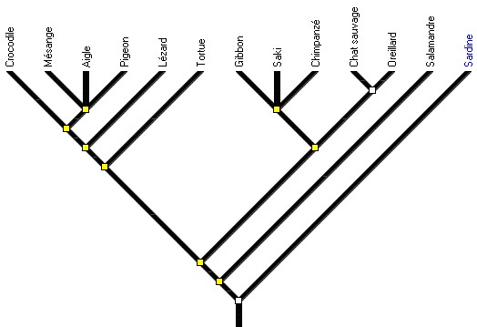 amniotes4_arbre1