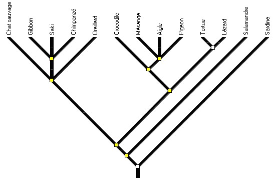 amniotes4_arbre2