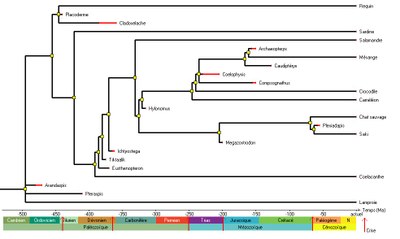 arbre_Vertebres_date.jpg