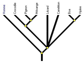 arbre_diapsides_noir.jpg