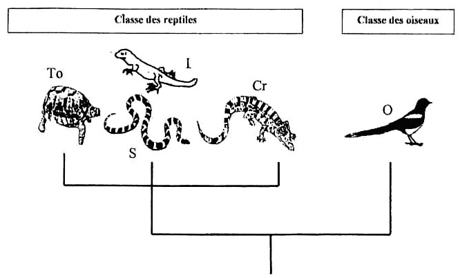 Amerique-du-sud-Image1.jpg