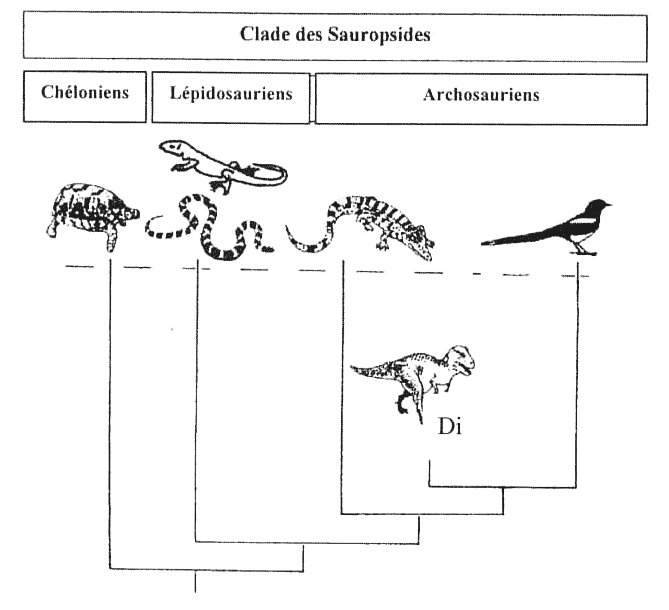 Amerique-du-sud-Image2.jpg