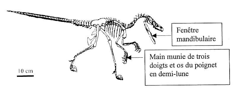 Amerique-du-sud-Image3.jpg