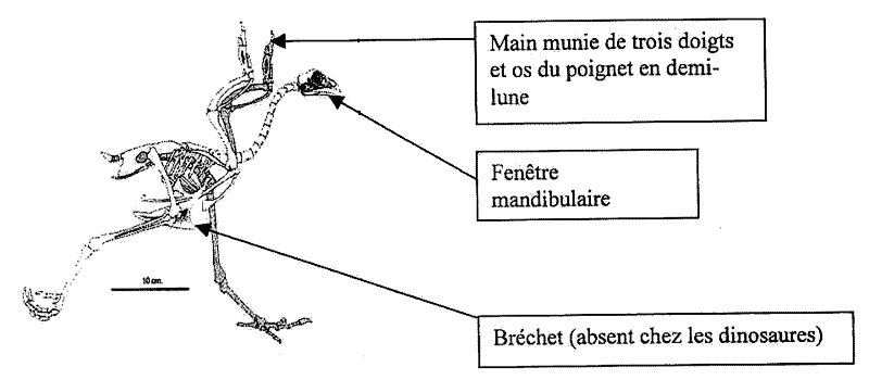 Amerique-du-sud-Image4.jpg