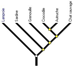 arbre asie 2005