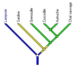 asie2005 reponse1