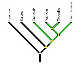 Arbre1bac.jpg