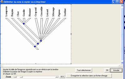 imprimer2.gif