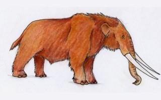 mastodonte