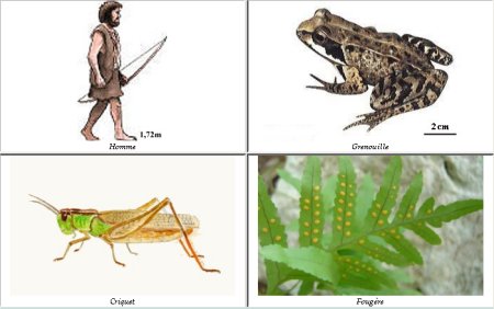 Unité du vivant.jpg