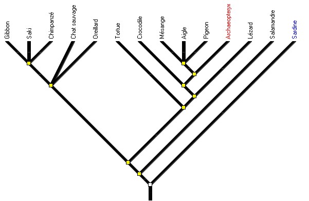 place -archaeopteryx.jpg