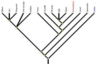 place -archaeopteryx.jpg