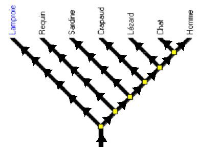 arbre-temps.jpg