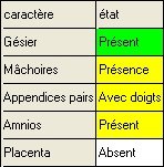 matrice-asie2005-reponse-2.jpg