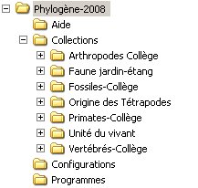 Organisation-dossier-Phylogène.jpg