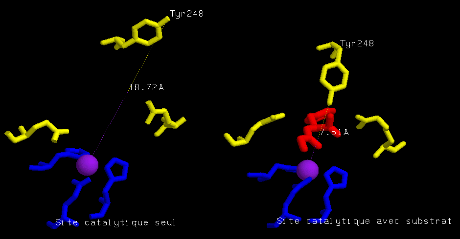 cpa2.gif