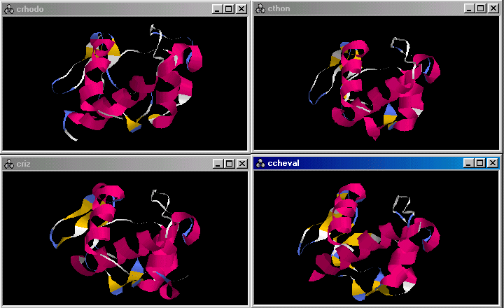 cytochrome.gif