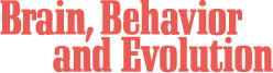Brain-Behavior-Evolution.gif