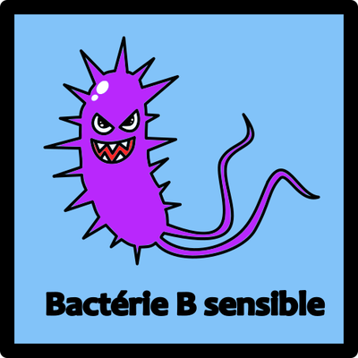 carte bacterie B