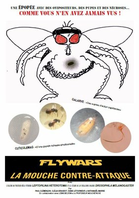Affiche Flywars