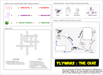 Flywars Quiz