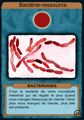 R-Bacteroides.png