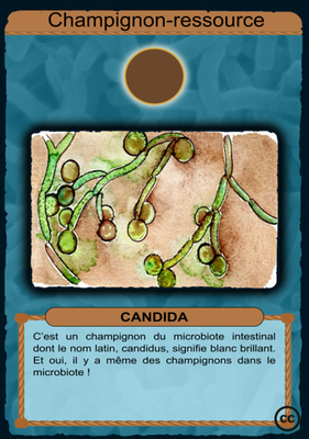 R-Candida.png