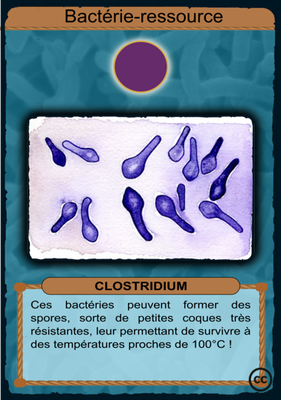 R-Clostridium.png