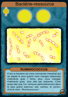 R-DbRuminococcus.png