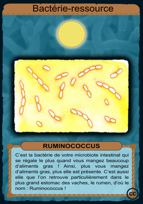 R-Ruminococcus.png