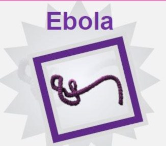 image preview Ebola