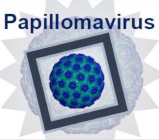 image preview HPV