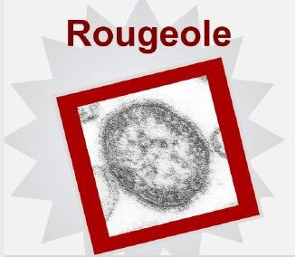 image preview rougeole