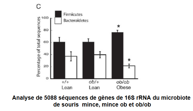 ratio_bacteries