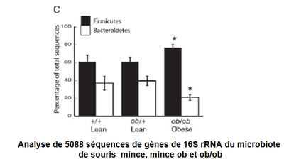 ratio_bacteries