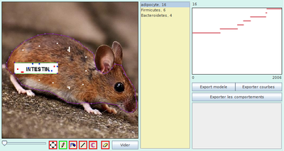 retouché t2000 mince