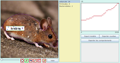 retouché t2000 obèse