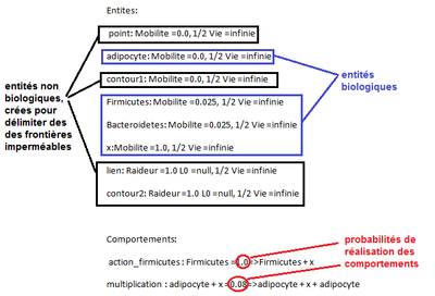 synopsis modele imparfait