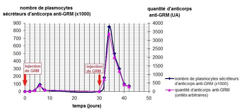 réel - résultats complets