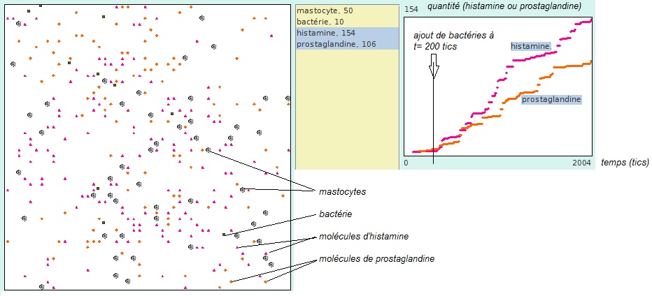 simul-mastocytes.jpg