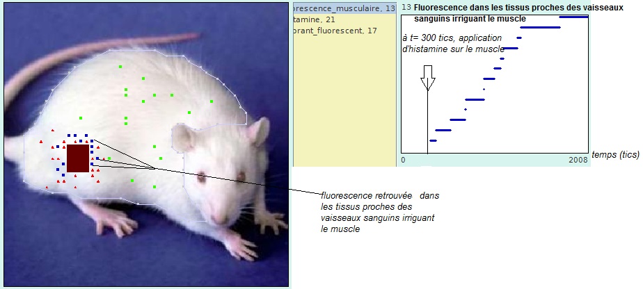 simulact-hist2000tics.jpg