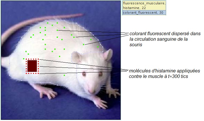 simulact-hist300tics.jpg