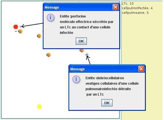 in vivo_grippe_simul1.JPG