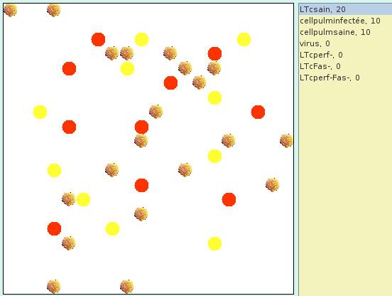 in vivo_grippeplus_init.JPG