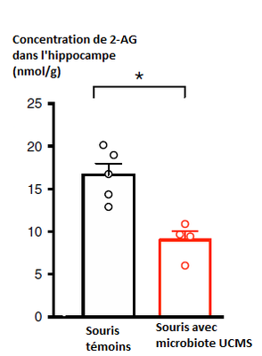 effet transplantation microbiote2